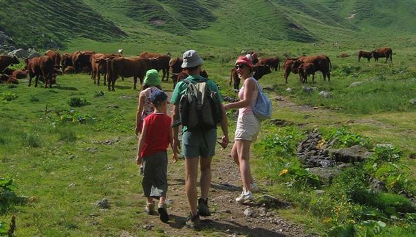Super Besse - Aventure en Famille : Découverte de la Faune et la Flore du Mont Dore 