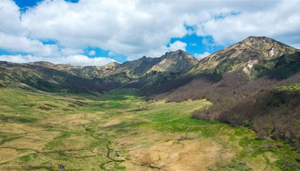 Découvrez la Réserve Naturelle de la Fontaine Salée, un joyau du Massif du Sancy.
