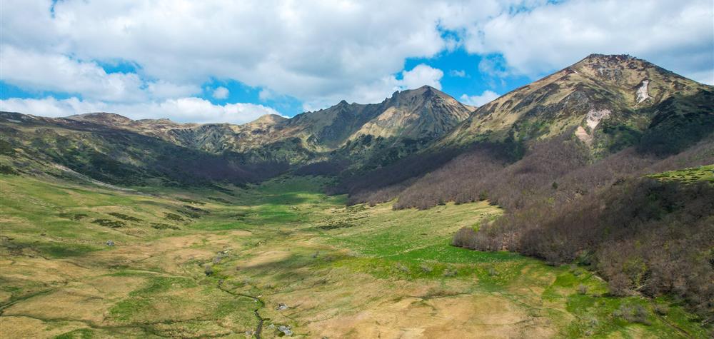 Découvrez la Réserve Naturelle de la Fontaine Salée, un joyau du Massif du Sancy.